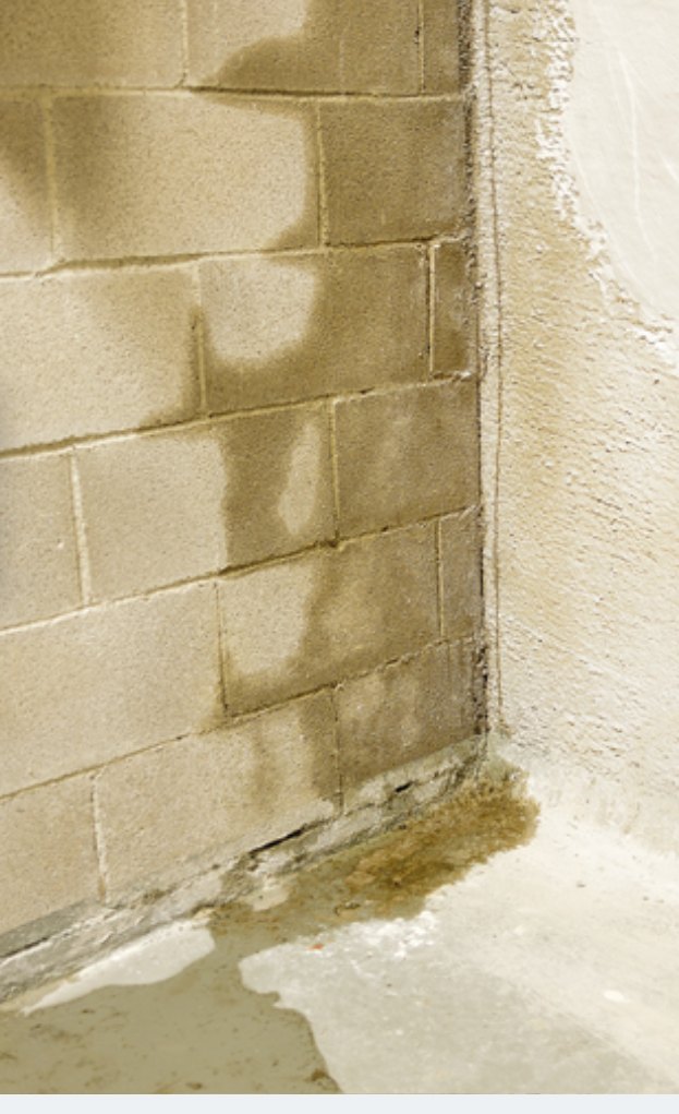 Project 2: Kelderdichting + gevelrenovatie